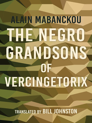 cover image of The Negro Grandsons of Vercingetorix